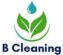 B-Cleaning